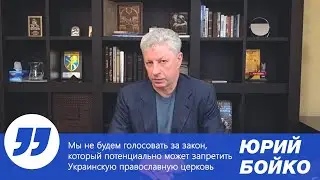 Мы не будем голосовать за закон, который может запретить Украинскую православную церковь