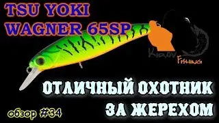 Tsu Yoki Wagner 65sp и трофейный жерех Обзор # 34 