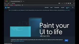 Dart New Update 2.18.6