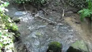 Greve find the flow