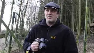 Fotografie für Anfänger u. Einsteiger -Tierportraits