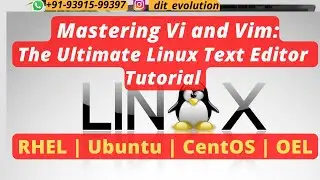 Mastering Vi and Vim: The Ultimate Linux Text Editor Tutorial |DIT Evolution