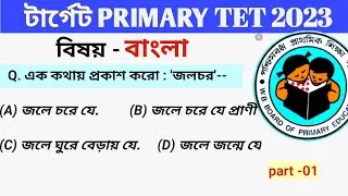 WB Primary Tet Preparation 2023 ।  Tet Preparation 2023 । Primary tet bengali class #wbtet2023