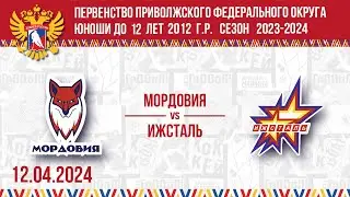 Мордовия 2012 - «Ижсталь» г. Ижевск 12. 04. 2024