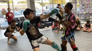 🔥 Saenchai Vs. Kevin Lee (Sparring Match) #ProFighter #Yokkao #Saenchai #GOAT