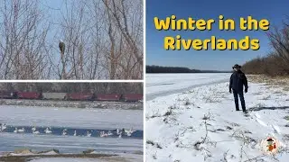 Winter in the Riverlands - Happy Trails Vlog