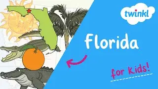 🍊 All About Florida for Kids | Florida History and Fun Facts | Twinkl USA