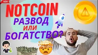 Notcoin - развод или бесплатное богатство? Зачем нужен Ноткойн и кто заработает. Крипта из телеги.