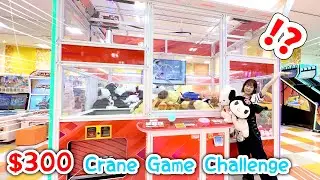 World's BIGGEST Crane Game!? $300 Crane Game Challenge in Japan