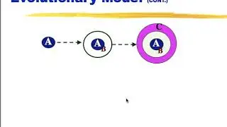 Evolutionary model