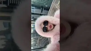 Однажды я уехала тусить в Турцию , потеряла сумку 🔥