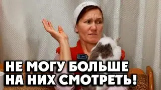 Я ТАКАЯ БАРАХОЛЬЩИЦА😳 1 ноября 2022