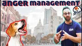 Trailer- Anger Management Course