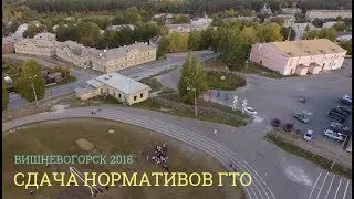 Сдача нормативов ГТО. Вишневогорск. 2018