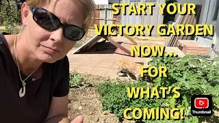 THE COMING COLLAPSE - STARTING MY EMERGENCY VICTORY GARDEN!