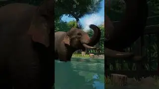 Cute Indian Elephant Playing with Water in our Tropical Zoo | Planet Zoo