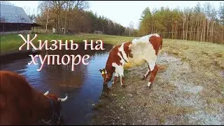 Сломала болгарку. Весна не спешит // Жизнь на хуторе