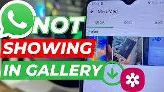 WhatsApp Images not Showing in Gallery || Whatsapp Photos