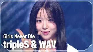 트리플에스(tripleS) & WAV - Girls Never Die l Show Champion l EP.527 l 240731