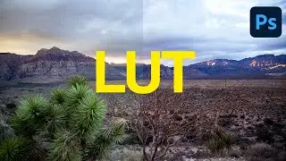 How to Use a LUT in Photoshop - 2 Minute Tip