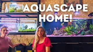 5ft Planted Aquarium and Nano Aquascapes! Fishroom Tour