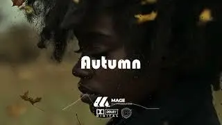 [FREE]  Autumn - Emotional Afrobeats Instrumental 2024