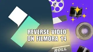 How to Reverse Video on Filmora 14? Make the Video Play Backward