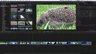 Final Cut Pro X 10.3 - Overwrite и Replace