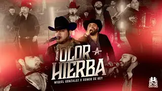 Miguel Gonzalez x Honor De Rey - Con Olor A Hierba [En Vivo]