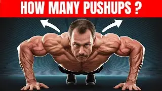 How Many Pushups Should You Do A Day To Build Muscle – Step by Step Guide