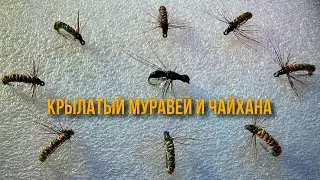 Мушки на хариуса: крылатый муравей и чайхана