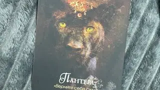 Я ДУМАЛ ТЫ СЛАБАЯ И БУДЕШЬ БЕГАТЬ ЗА МНОЙ. НО СЕЙЧАС Я ПОНЯЛ КТО ТЫ ТАКАЯ. ОН О ТЕБЕ✨