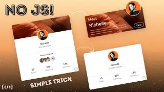 Functional Profile Card HTML CSS... NO JS! use this simple trick