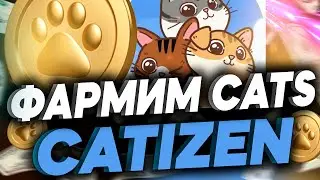 CATIZEN - ЛУЧШЕ НОТКОИНА!