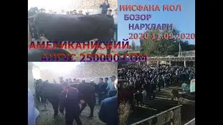 Исфана  мол бозор 2020.Ангус сигир 250 минг сом 11.09.2020