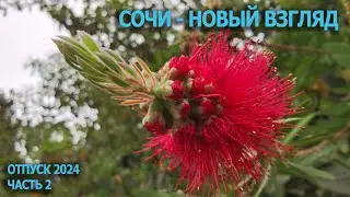 Сочи  - Новый взгляд 2024  часть 2
