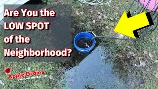 Are you the low point of the Neighborhood? Backyard Water?