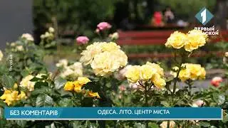 Одеса. Дерибасівська. Міський сад. Літо