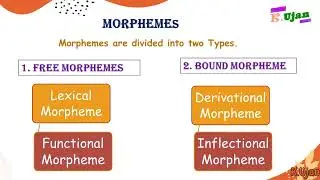 What is a Morpheme and Types of Morpheme with examples in detail