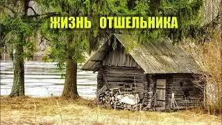 ИСТОРИИ из ЖИЗНИ РАССКАЗЫ ЛЕСНИКА ЖИЗНЬ МЕДВЕДИ ВОЛКИ в ЛЕСУ СЕРИАЛ ВСЕ СЕРИИ