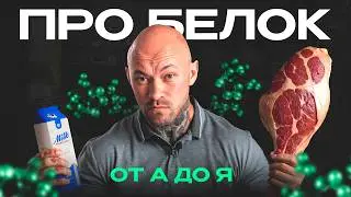 БЕЛОК: этого НЕ знают 98% людей... Лучшие источники белка