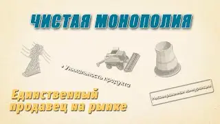 Чистая монополия | Единственный продавец товара на рынке