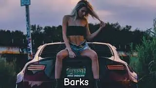 Akmalov - Barks (Original Mix)