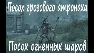 Посох грозового атронаха и посох огненных шаров на 1 уровне.