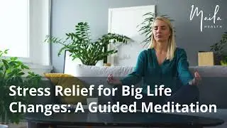 Stress Relief for Big Life Changes | A 11-Minute Guided Meditation with Affirmations