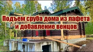 Подъем дома на 60 см и добавление лафета в один-три венца. Ремонт дома из лафета с подрубом венцов.