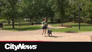 Blind Edmonton woman to run 5K at Edmonton Marathon with guide dog