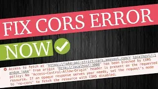 CORS Error & Solutions In A Nutshell [Cross Origin Resource Sharing]