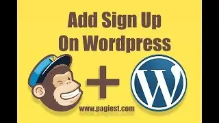 How to Embed Mailchimp Sign Up Form On Wordpress