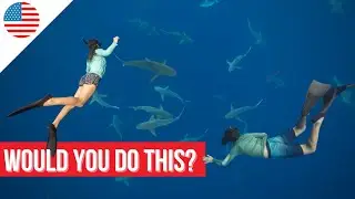 Is swimming with SHARKS really dangerous? Here is the truth our family learned during our experience